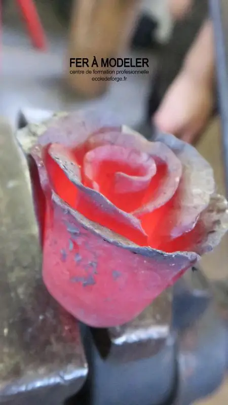 rose incandescente
